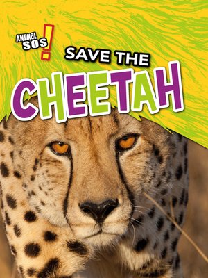 cover image of Save the Cheetah